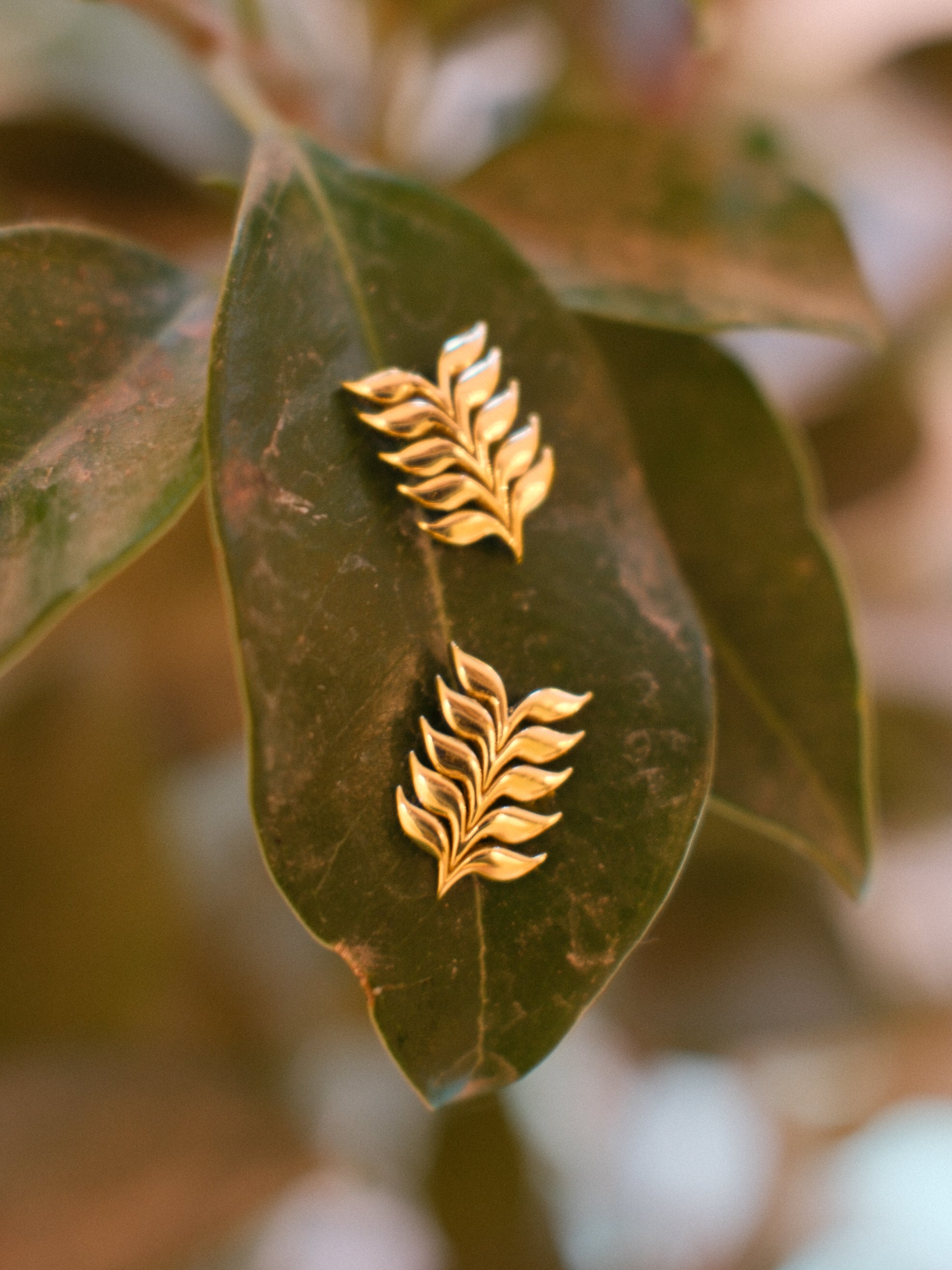 ahlam earrings - 14k gold